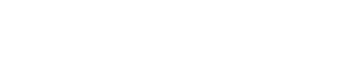 giz logo 1_webp